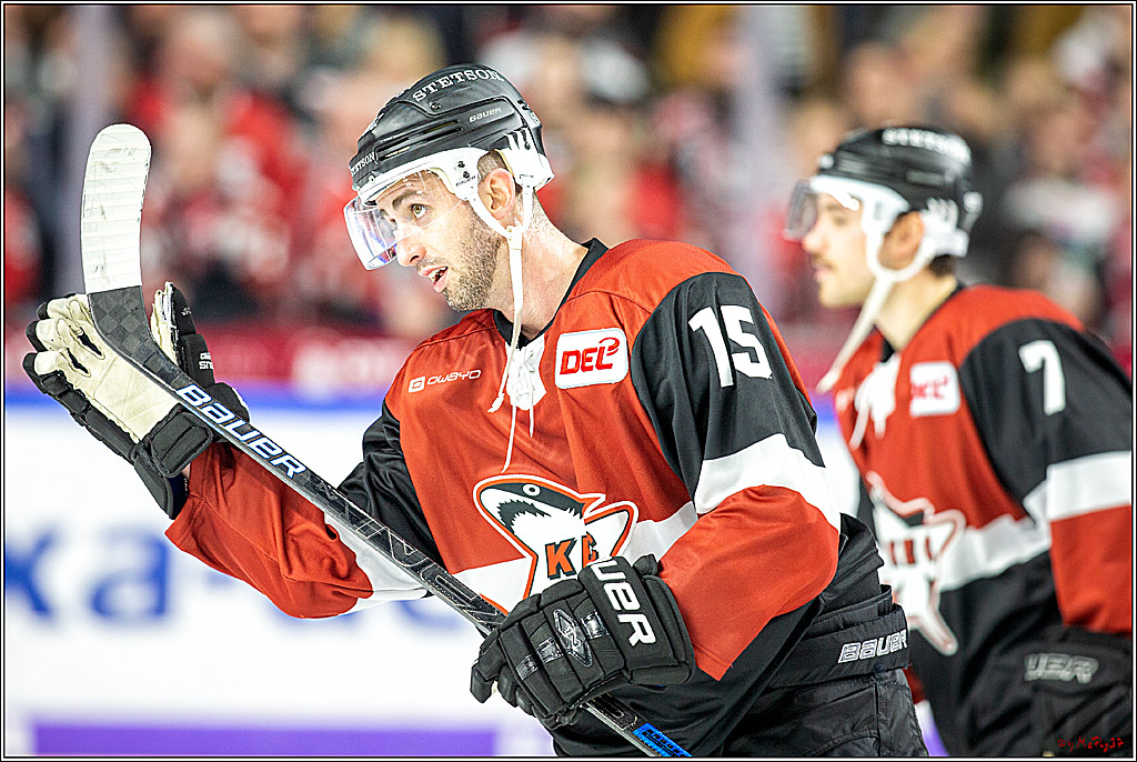 DEL; Koelner Haie - Iserlohn Roosters; Koeln, 01.12.2019